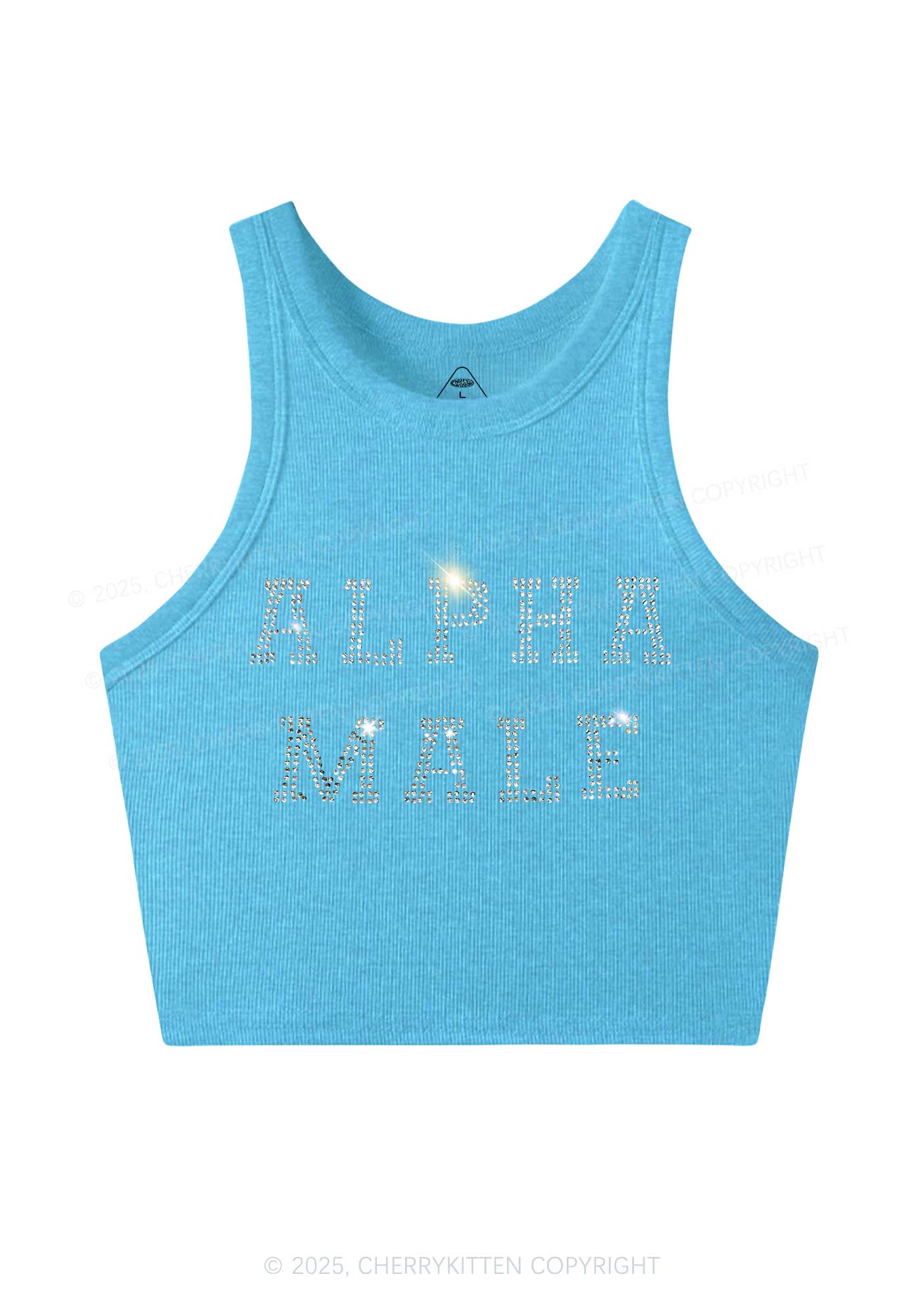 Rhinestone Alpha Male Y2K Crop Tank Top Cherrykitten