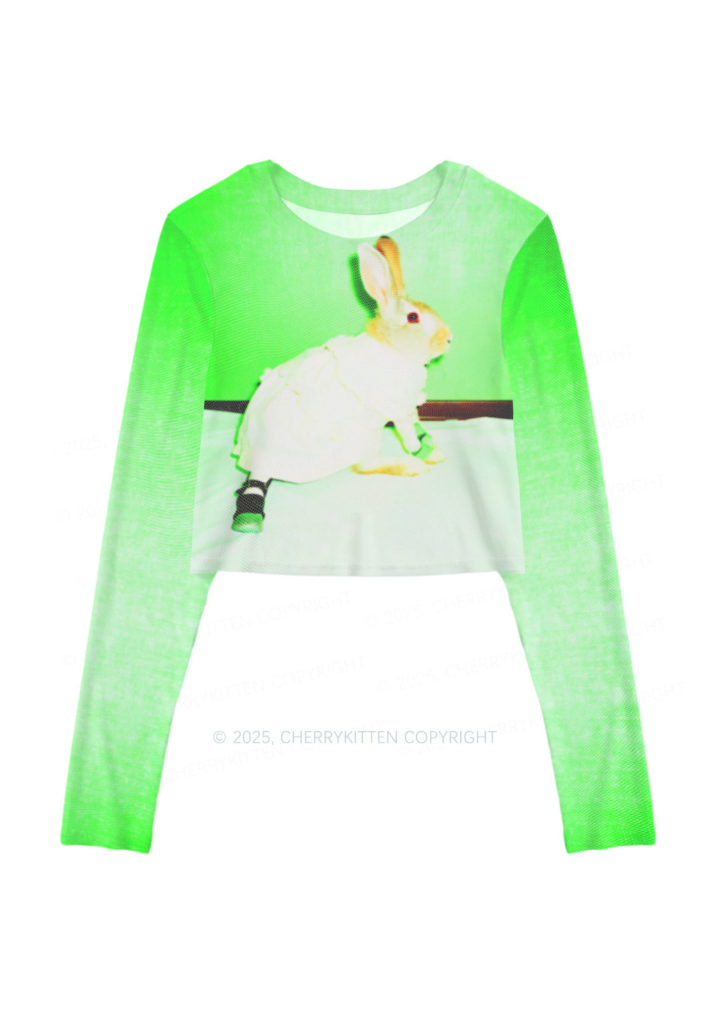 Red Eyed Rabbit Y2K Mesh Long Sleeve Crop Top Cherrykitten