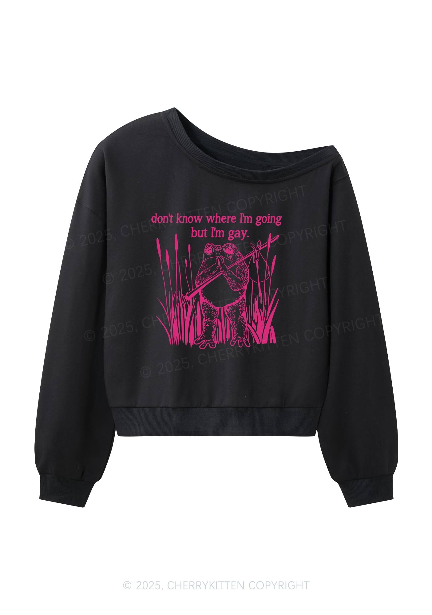 But I Am Gay Frog Pride Y2K Off Shoulder Sweatshirts Cherrykitten