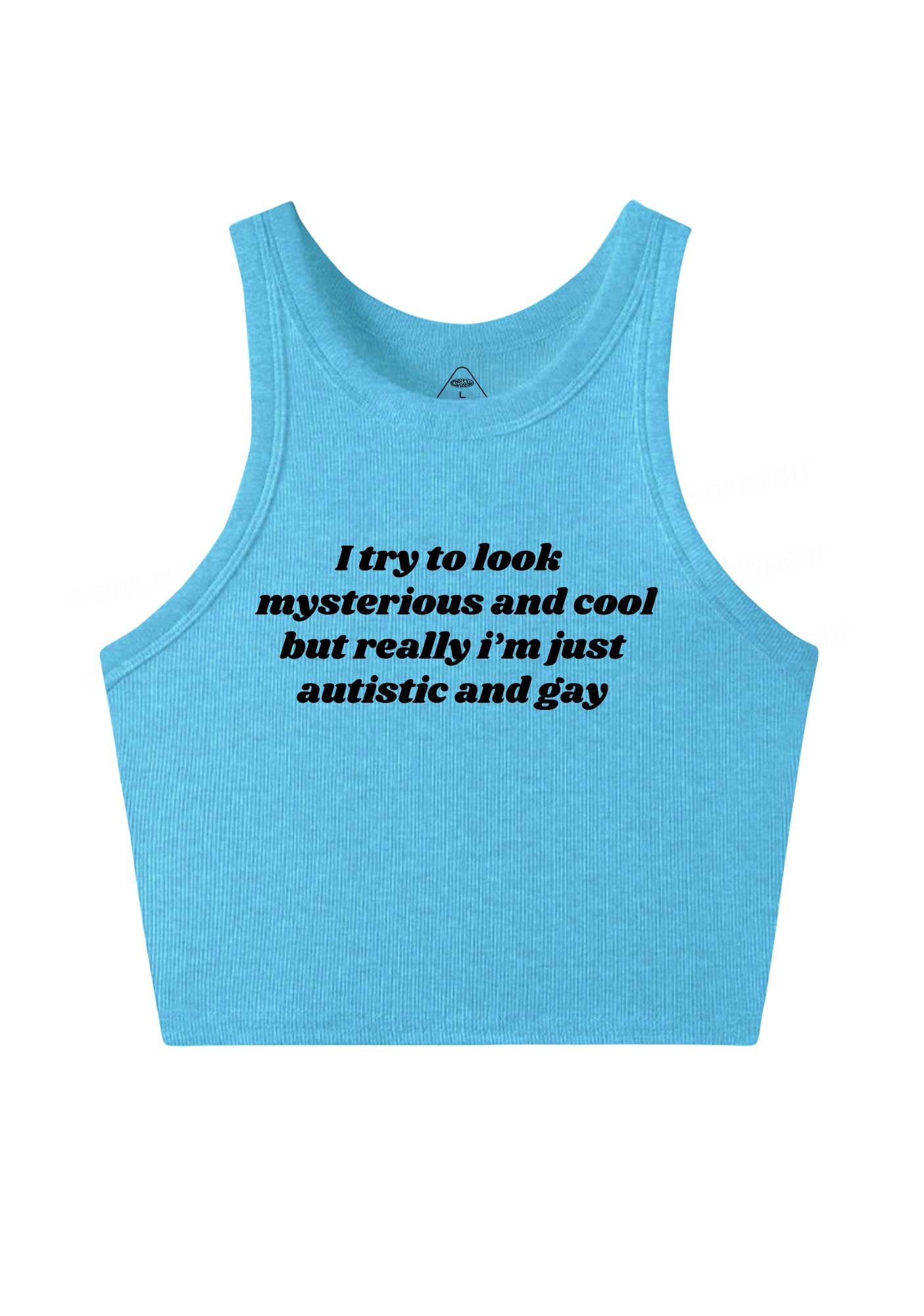 Im Just Autistic And Gay Pride Y2K Crop Tank Top Cherrykitten