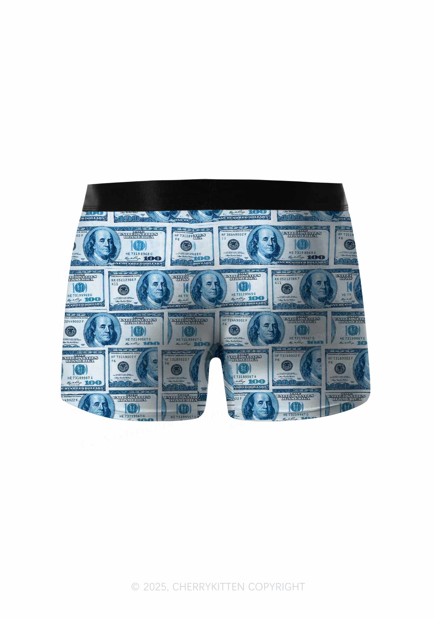 Blue Dollars Y2K Print Men Boxer Briefs Cherrykitten