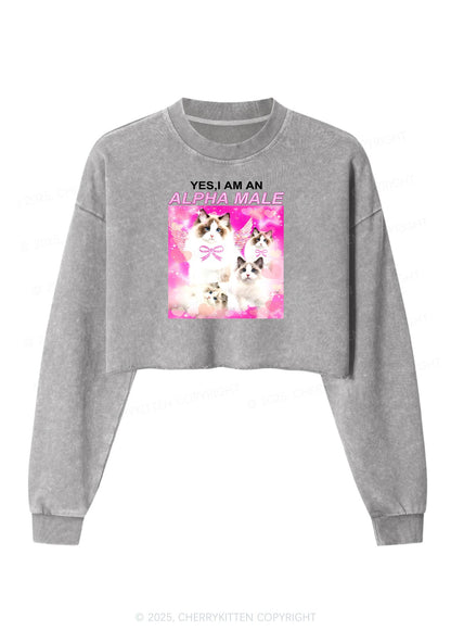 Alpha Male Y2K Crop Washed Sweatshirts Cherrykitten