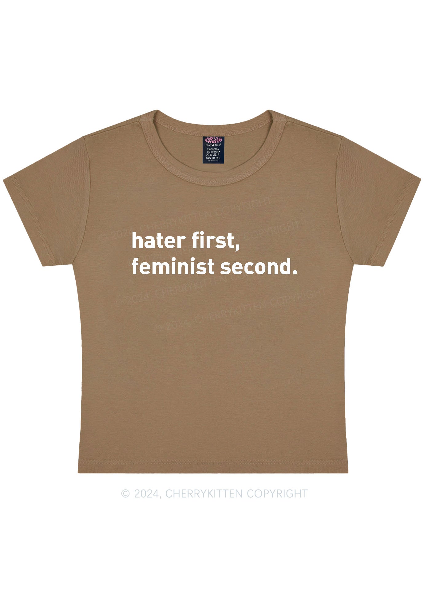 Hater First Feminist Second Y2K Baby Tee