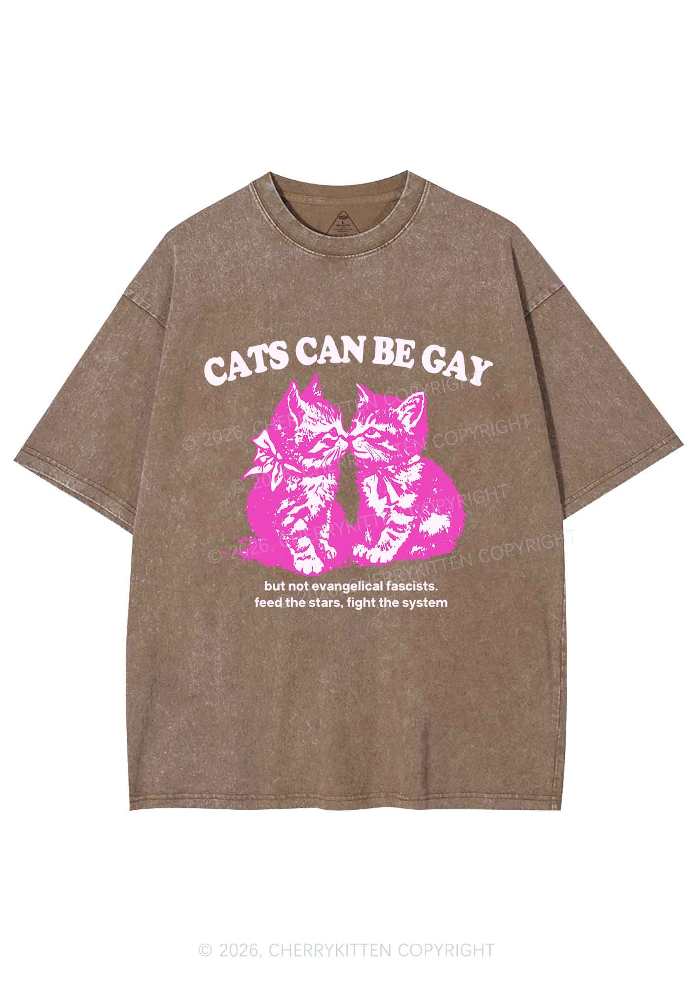 Cat Can Be Gay Pride Y2K Shirts Washed Tee Cherrykitten
