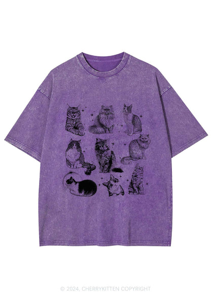 Retro Kitten Y2K Washed Tee Cherrykitten