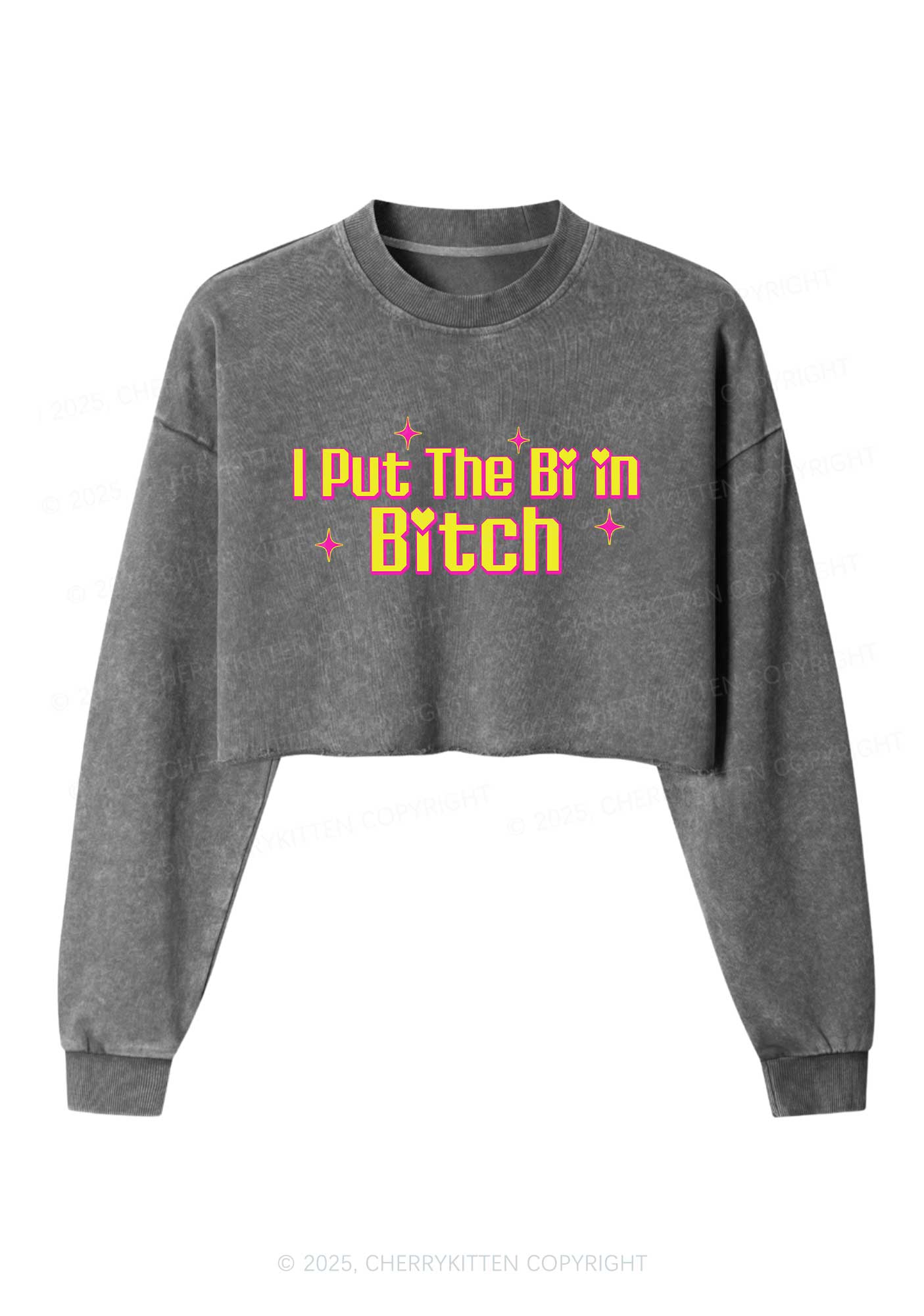 Put The Bi In Bxxch Pride Y2K Crop Washed Sweatshirts Cherrykitten