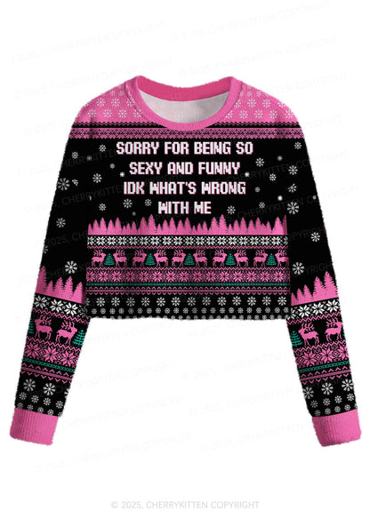 Sorry For Being So Funny Y2K Christmas Crop Knit Sweatshirt Cherrykitten