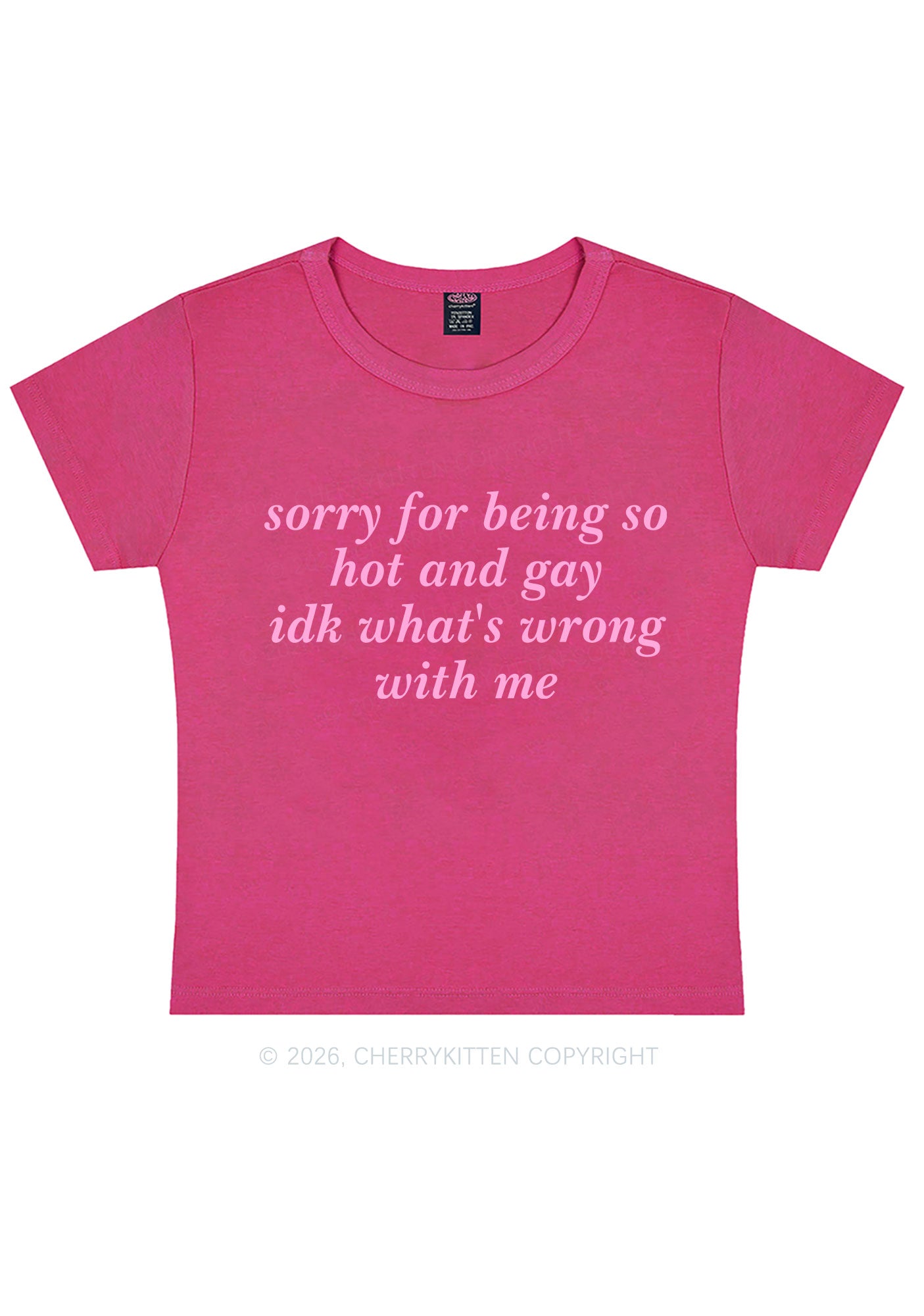 Sorry For Being Gay Pride Y2K Baby Tee Cherrykitten