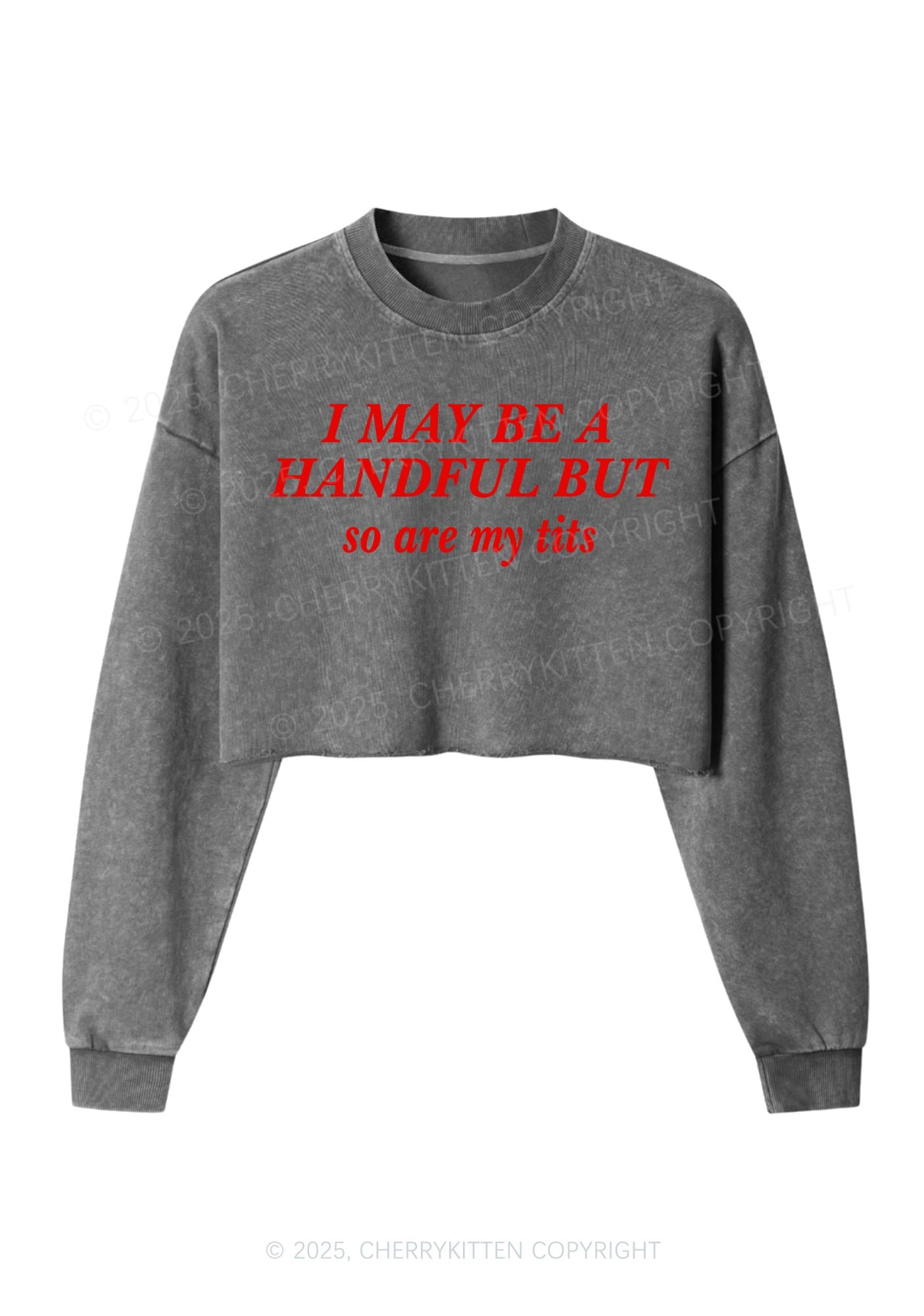 I May Be A Handful Y2K Crop Washed Sweatshirts Cherrykitten