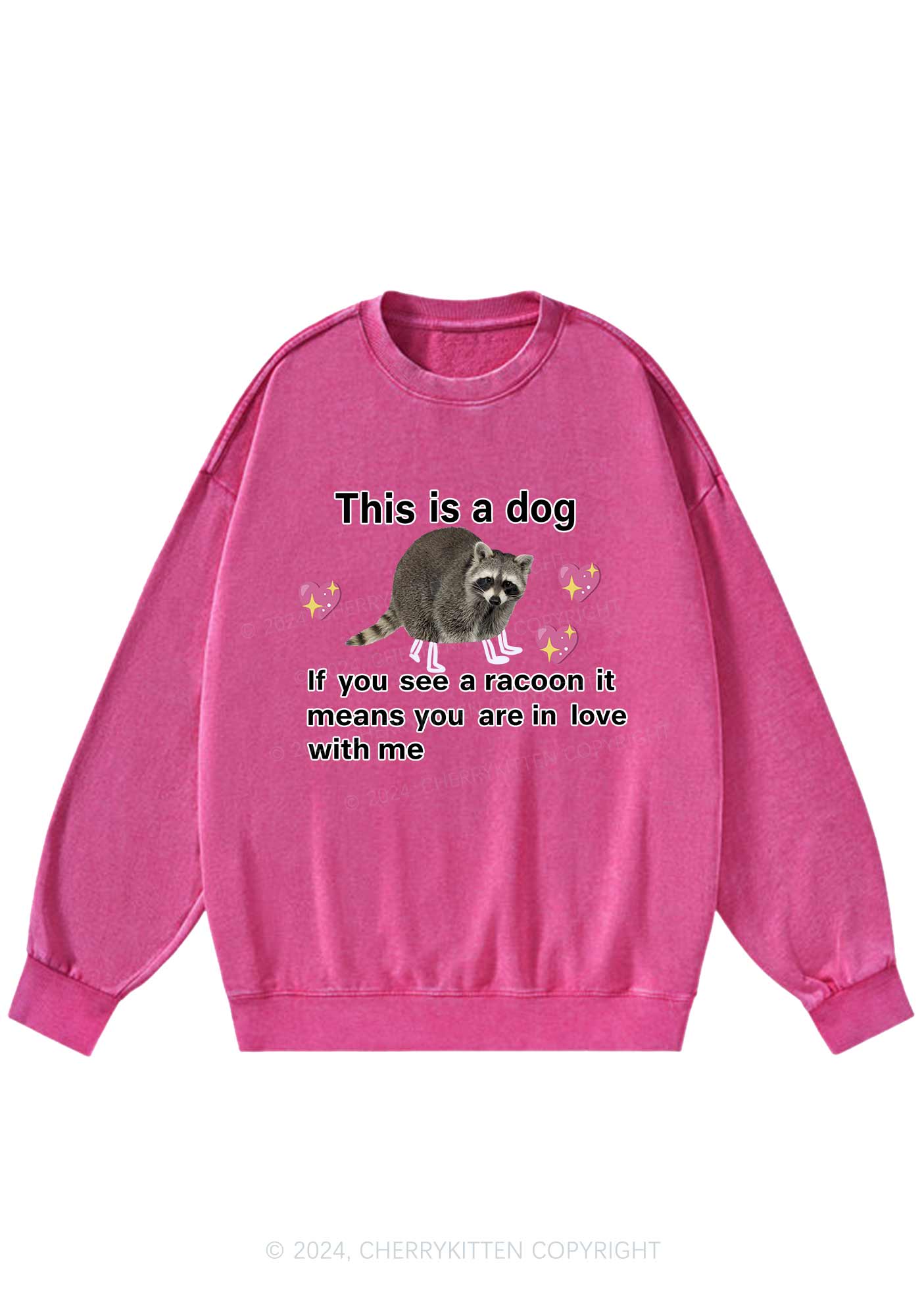 You Are In Love With Me Y2K Washed Sweatshirts Cherrykitten