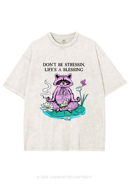 Dont Stress Raccoon Y2K Shirts Washed Tee Cherrykitten