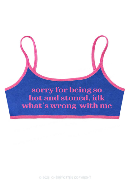 Sorry For Being Hot And Stoned Y2K Super Crop Cami Cherrykitten