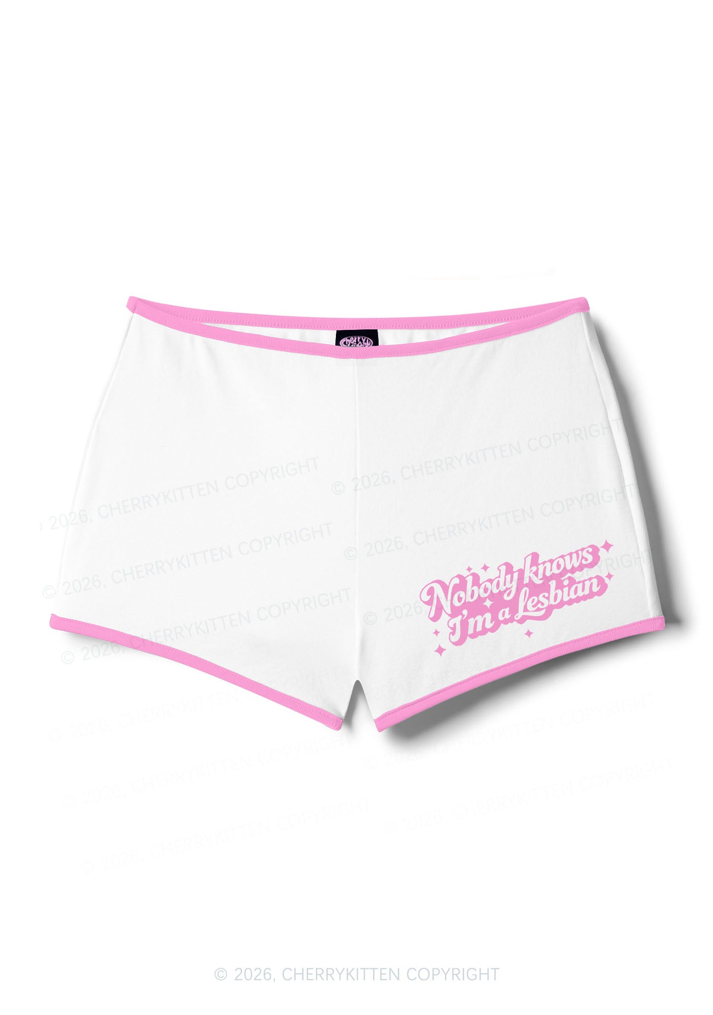 Nobody Knows Im A Lesbian Pride Y2K Booty Shorts Cherrykitten