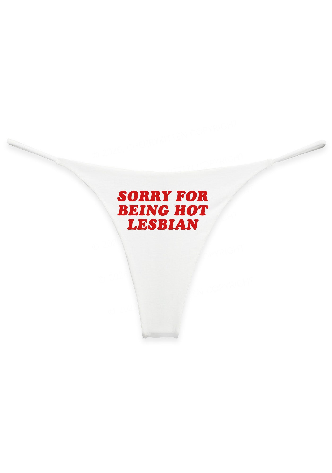 Sorry For Being Hot Lesbian Pride Y2K Bikini String Thong Cherrykitten