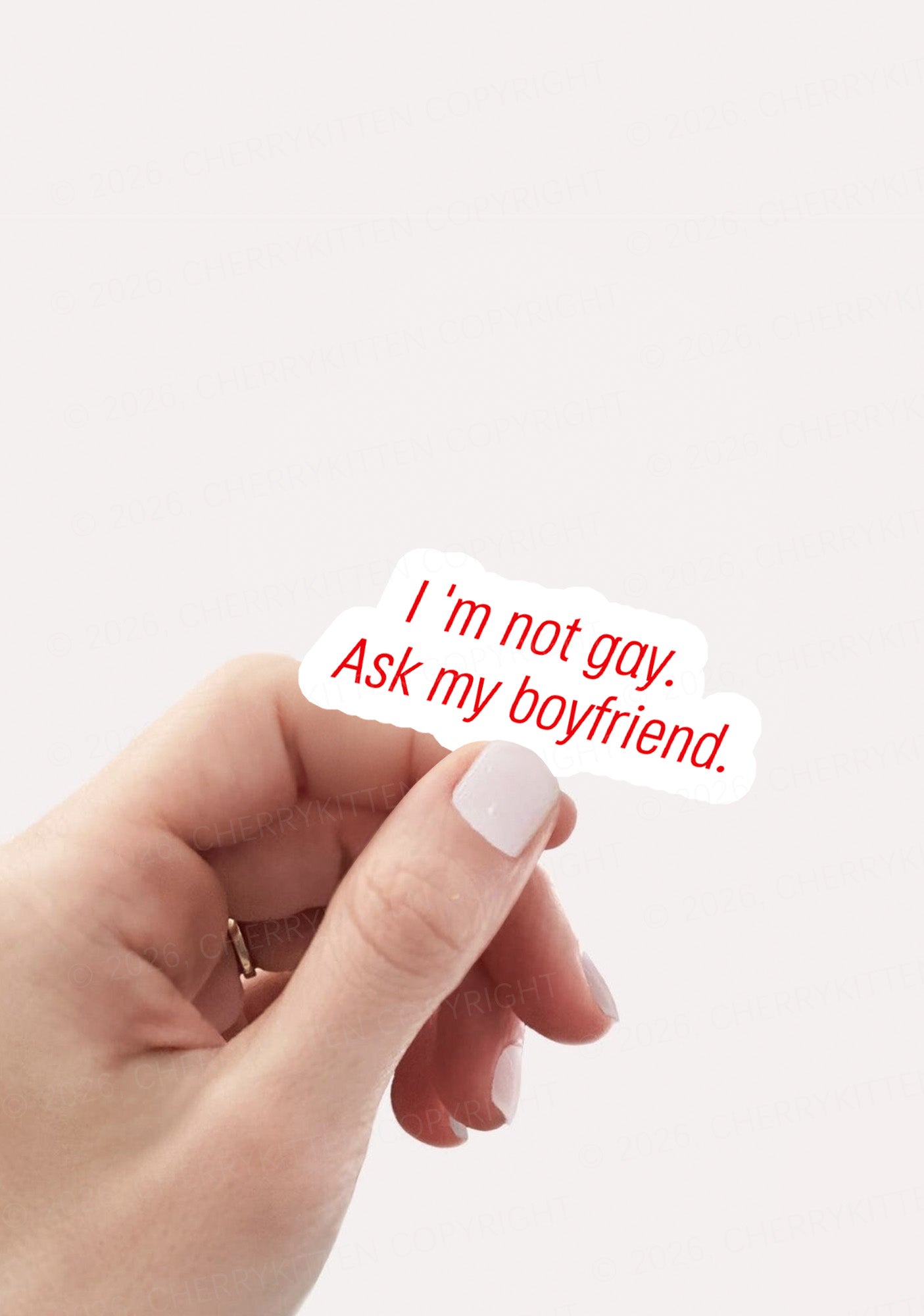 Im Not Gay Pride 1pc Y2K Sticker Cherrykitten