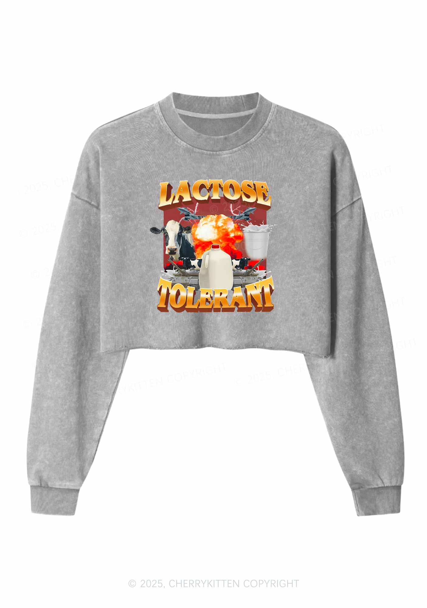 Retro Milk Lactose Tolerant Y2K Crop Washed Sweatshirts Cherrykitten