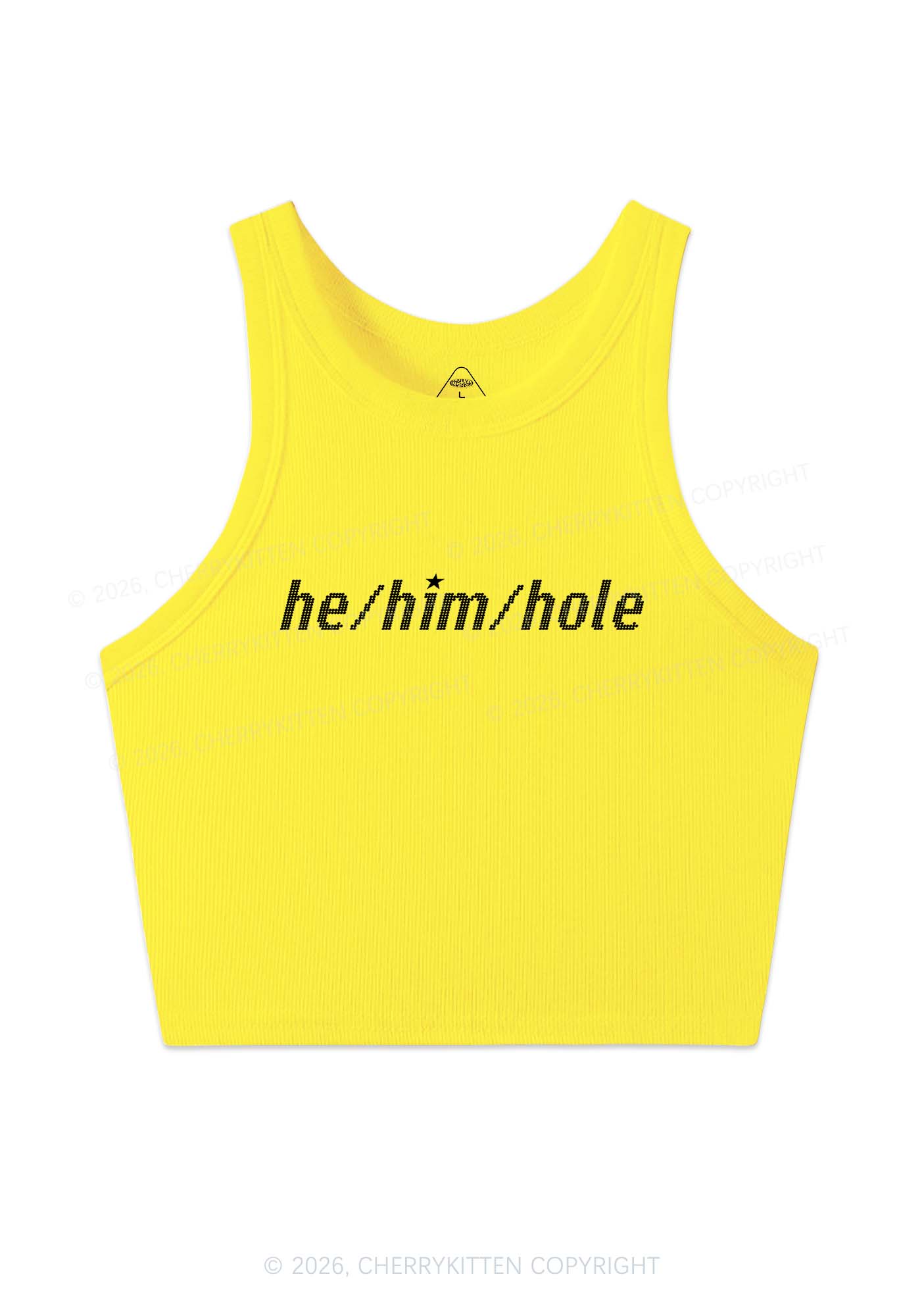 He Him Hole Pride Y2K Crop Tank Top Cherrykitten