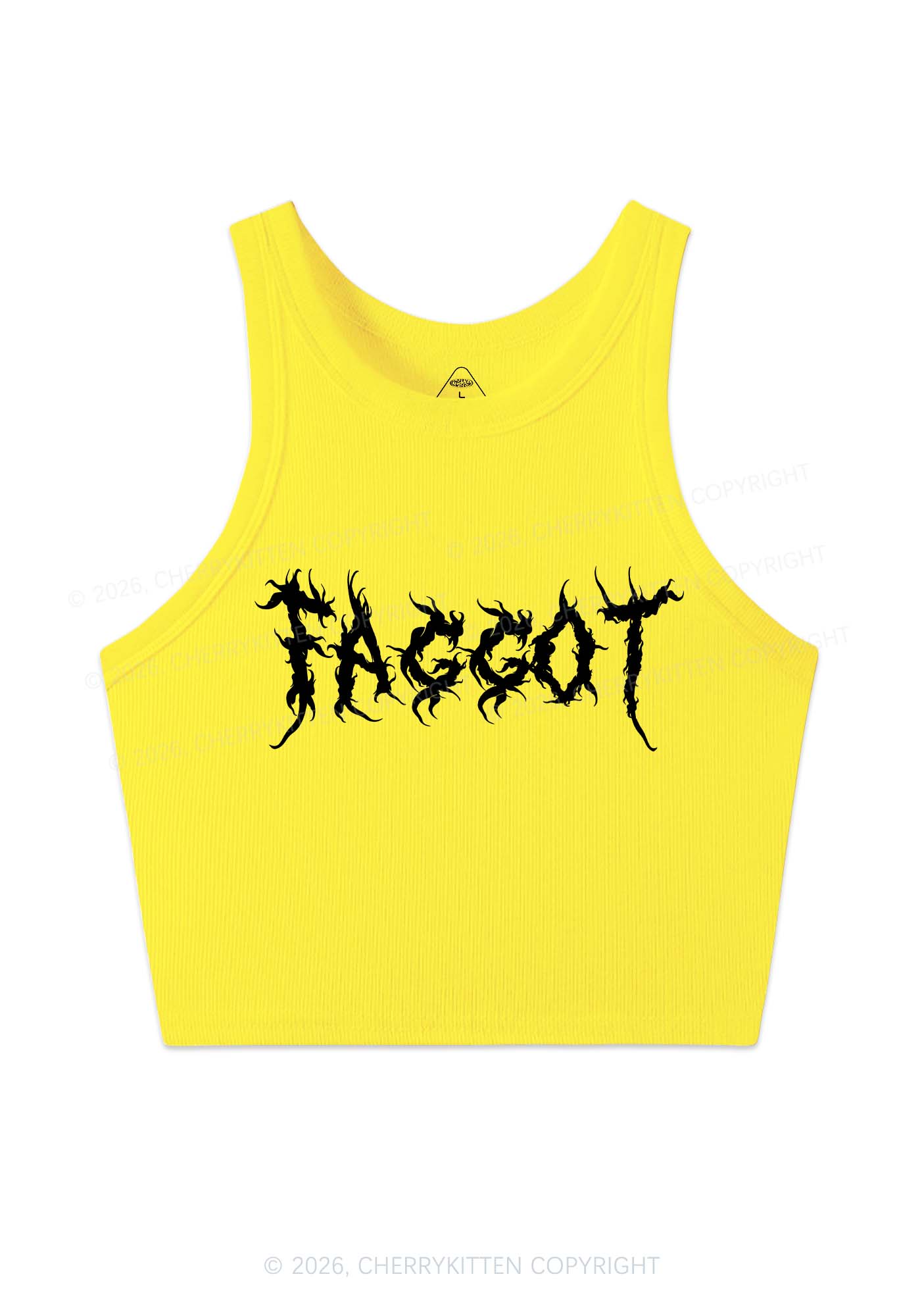 Punk Faggot Pride Y2K Crop Tank Top Cherrykitten