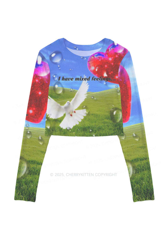 Dove And Mixed Feelings Y2K Mesh Long Sleeve Crop Top Cherrykitten
