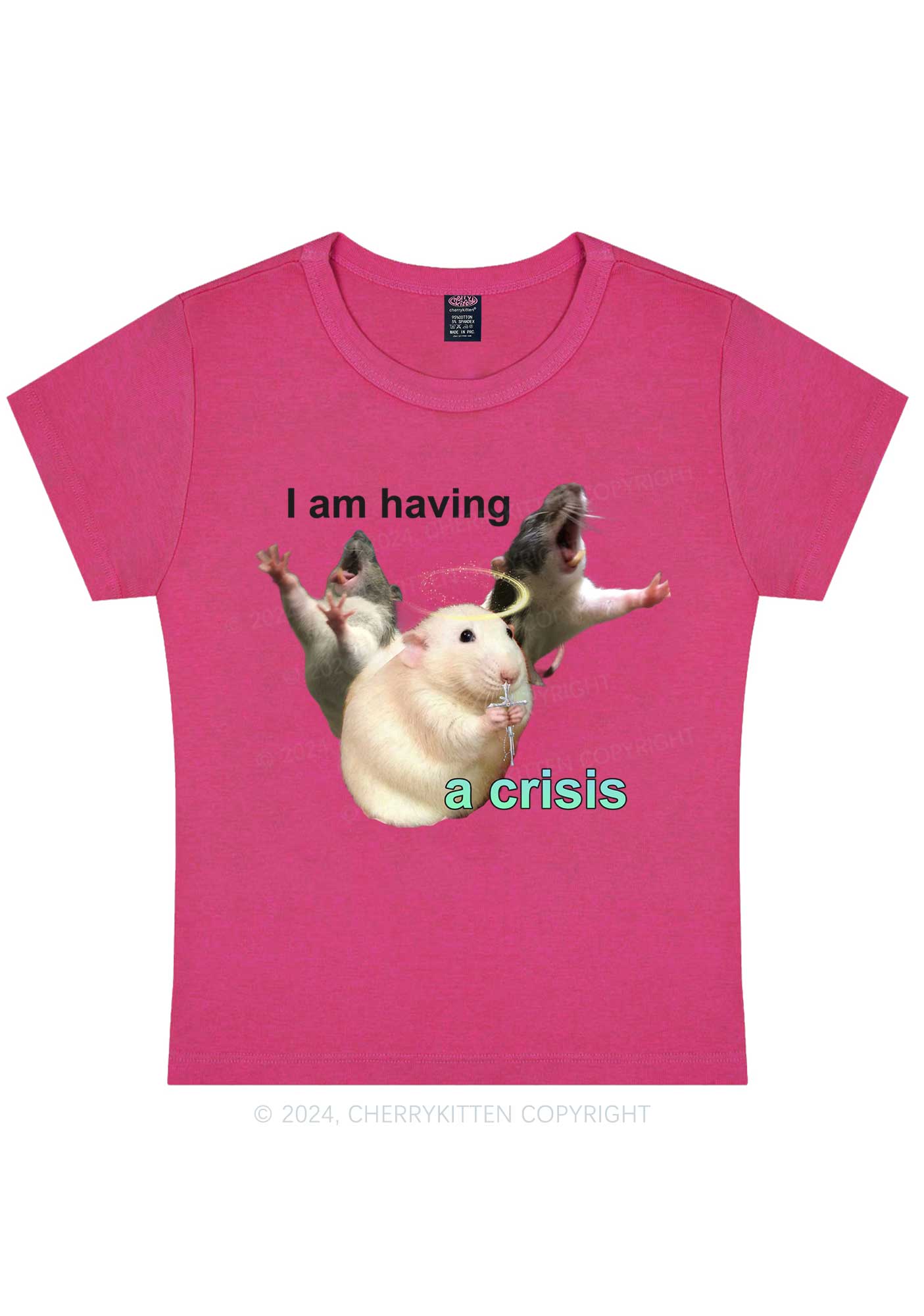 I Am Having Crisis Y2K Baby Tee Cherrykitten