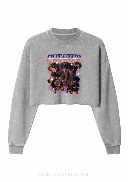 Custom Dog Photo Y2K Crop Washed Sweatshirts Cherrykitten