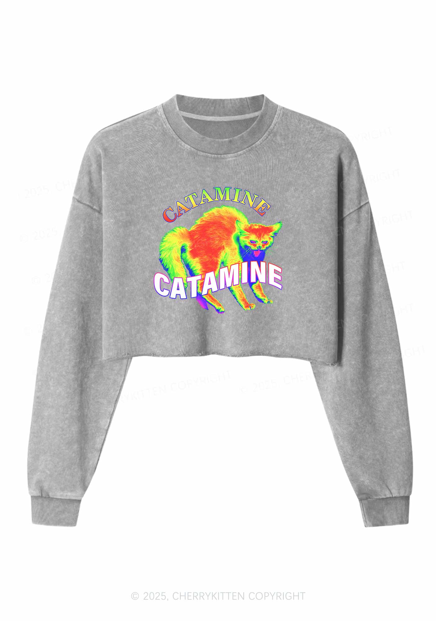 Thermal Cat Y2K Crop Washed Sweatshirts Cherrykitten