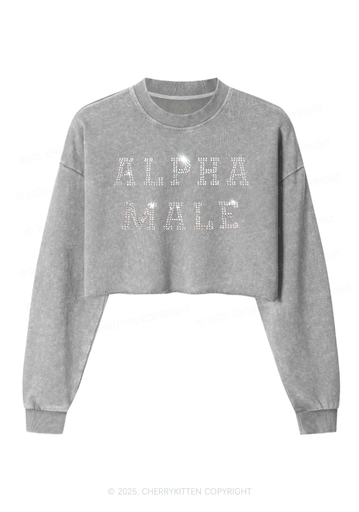 Rhinestone Alpha Male Y2K Crop Washed Sweatshirts Cherrykitten