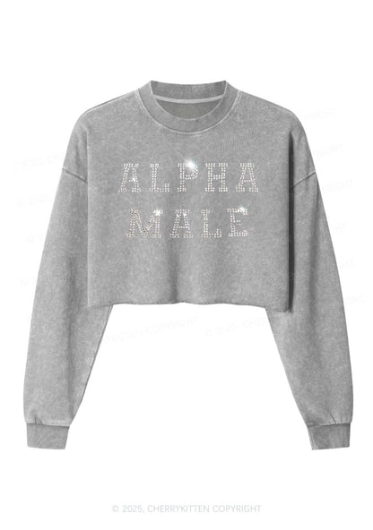 Rhinestone Alpha Male Y2K Crop Washed Sweatshirts Cherrykitten