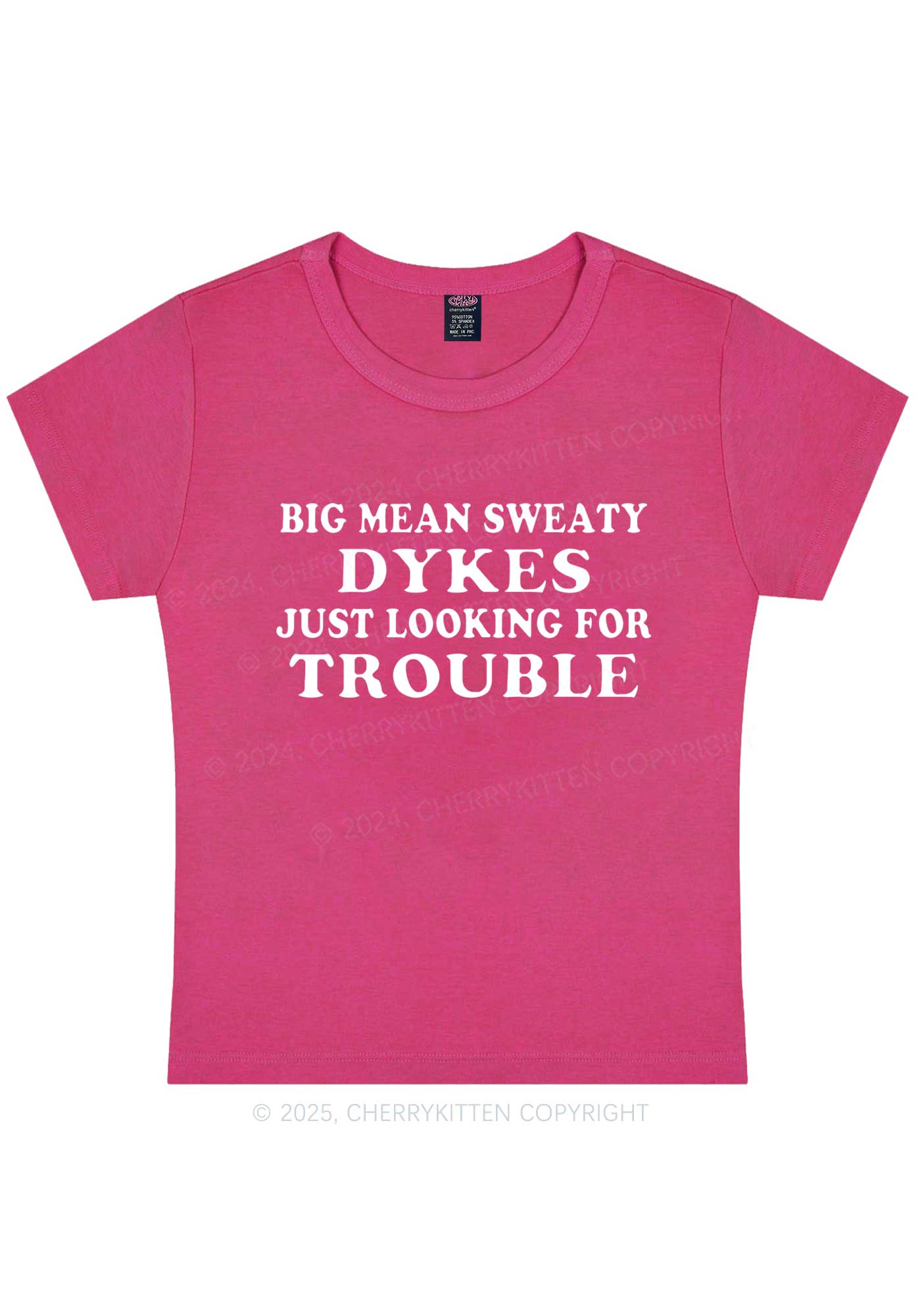 Dykes Trouble Y2K Baby Tee Cherrykitten