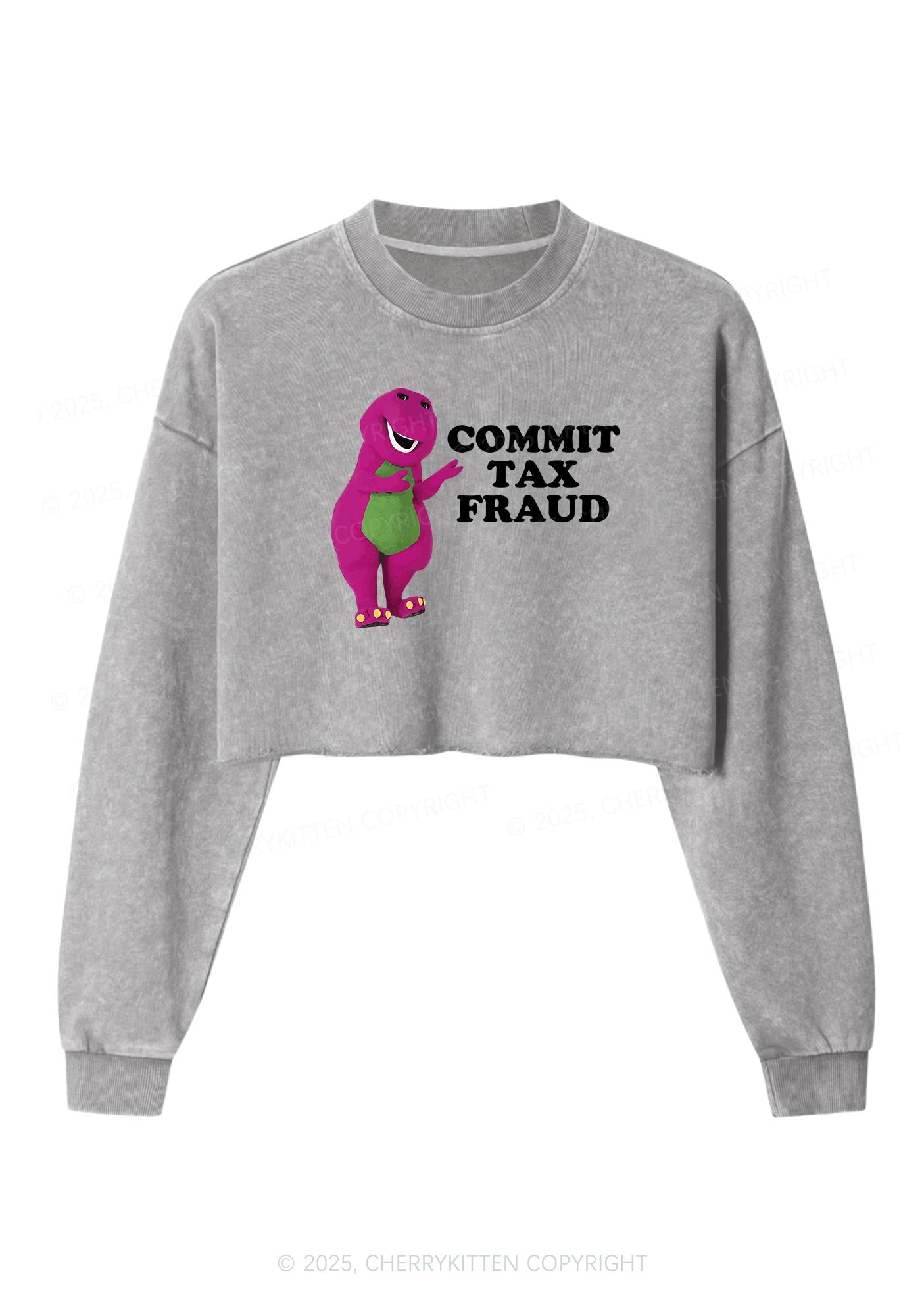 Commit Tax Fraud Y2K Crop Washed Sweatshirts Cherrykitten