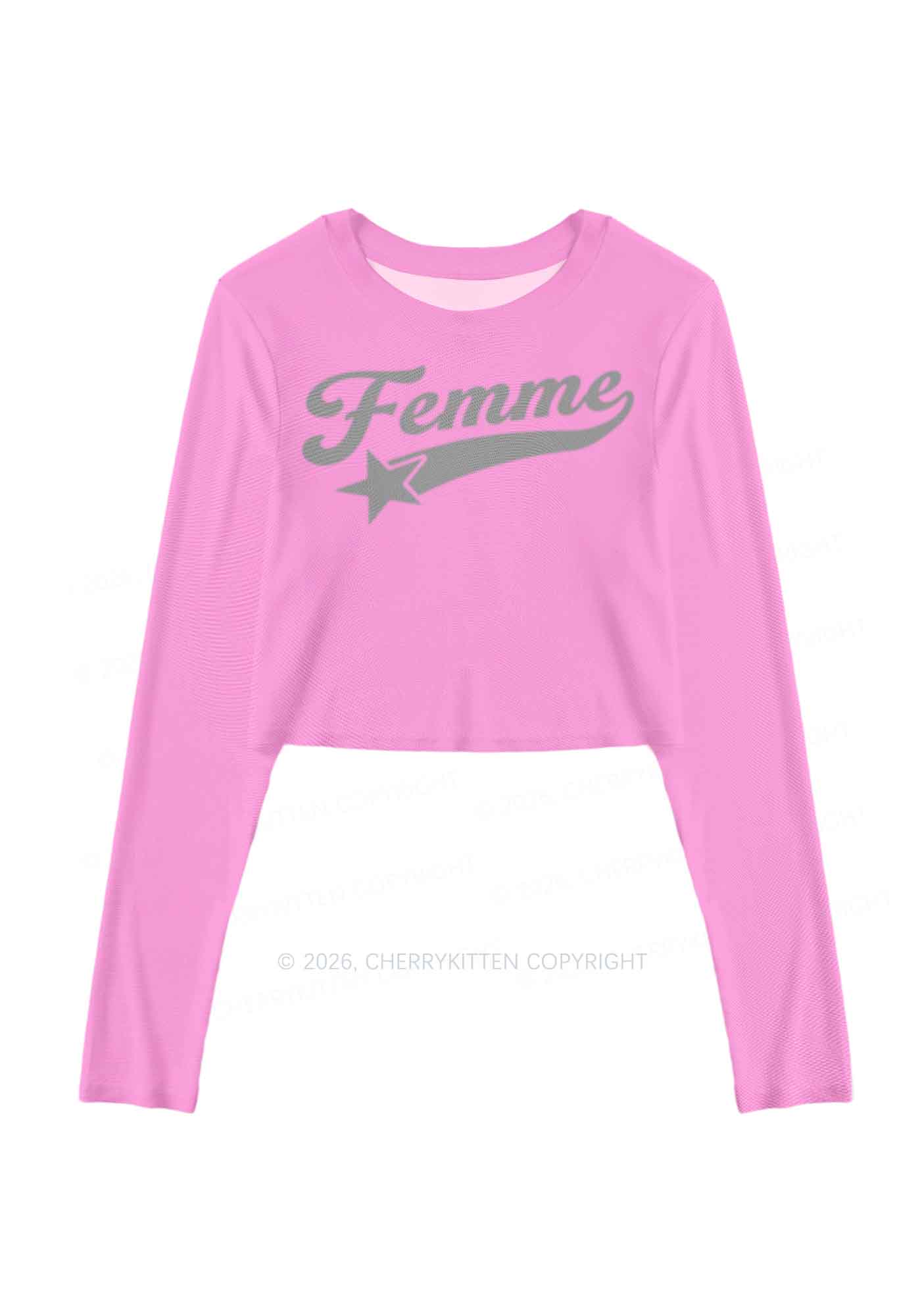 Grey Femme Pride Y2K Mesh Long Sleeve Crop Top Cherrykitten