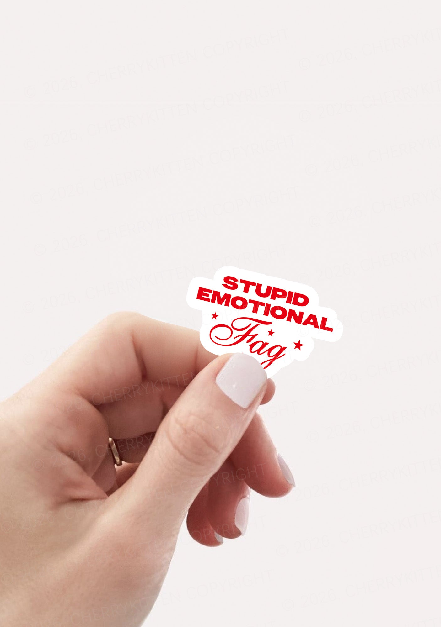 Stupid Emotional Fag Pride 1pc Y2K Sticker Cherrykitten