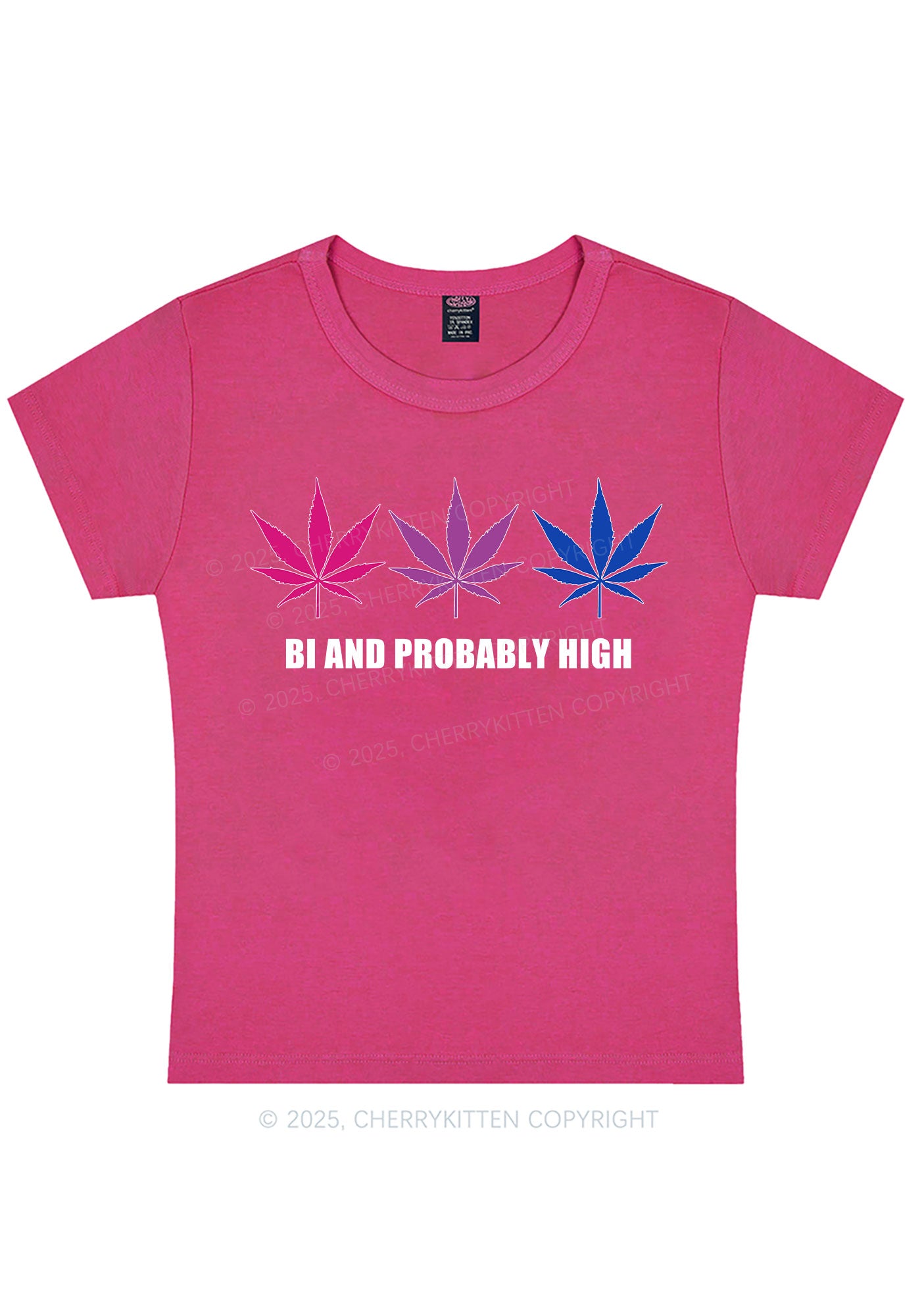 Bi Probably High Pride Y2K Baby Tee Cherrykitten
