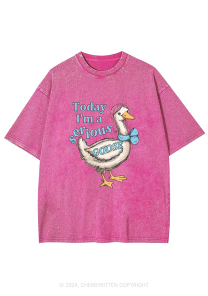 Serious Goose Y2K Washed Tee Cherrykitten