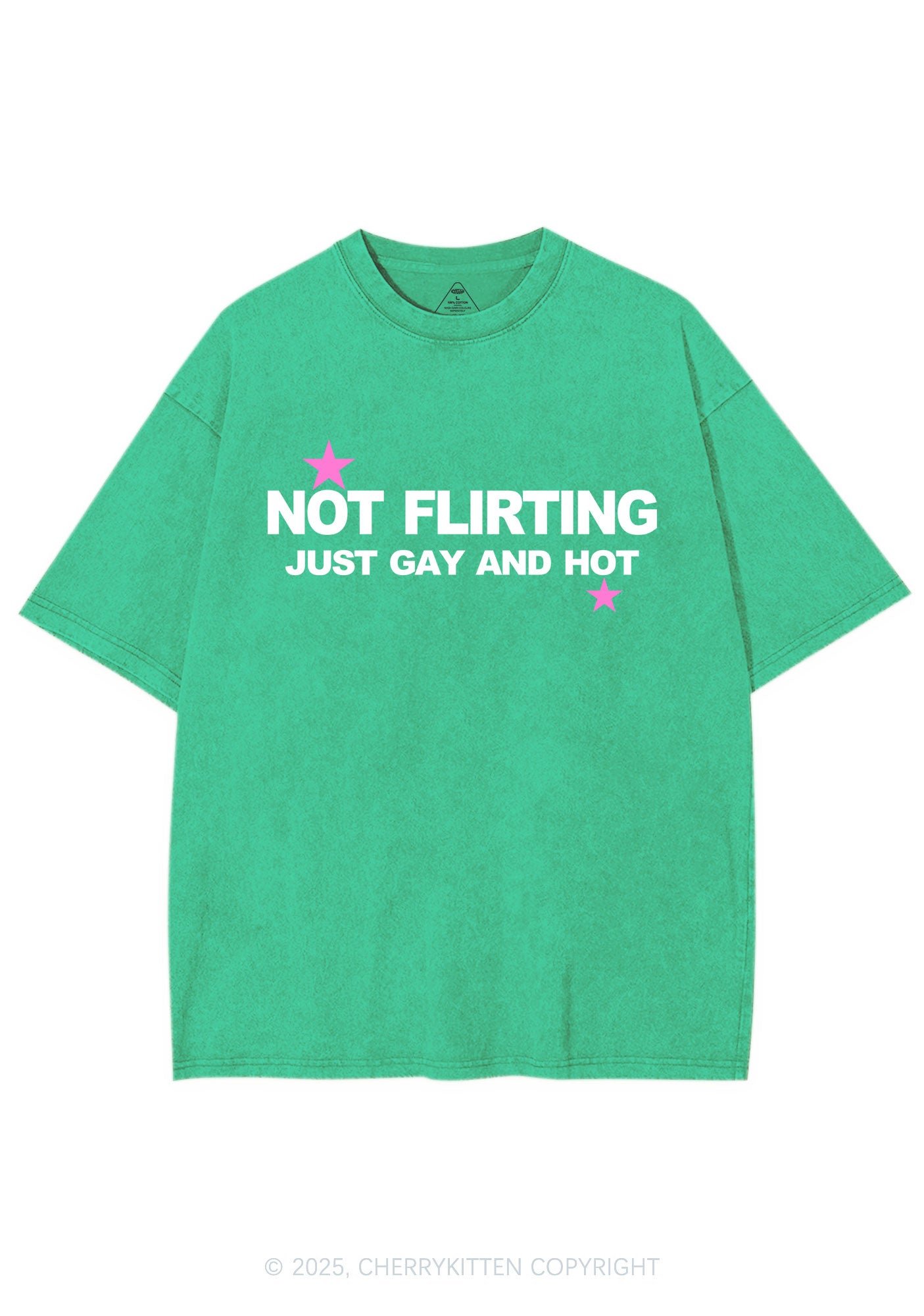 Not Flirting Y2K Shirts Washed Tee Cherrykitten