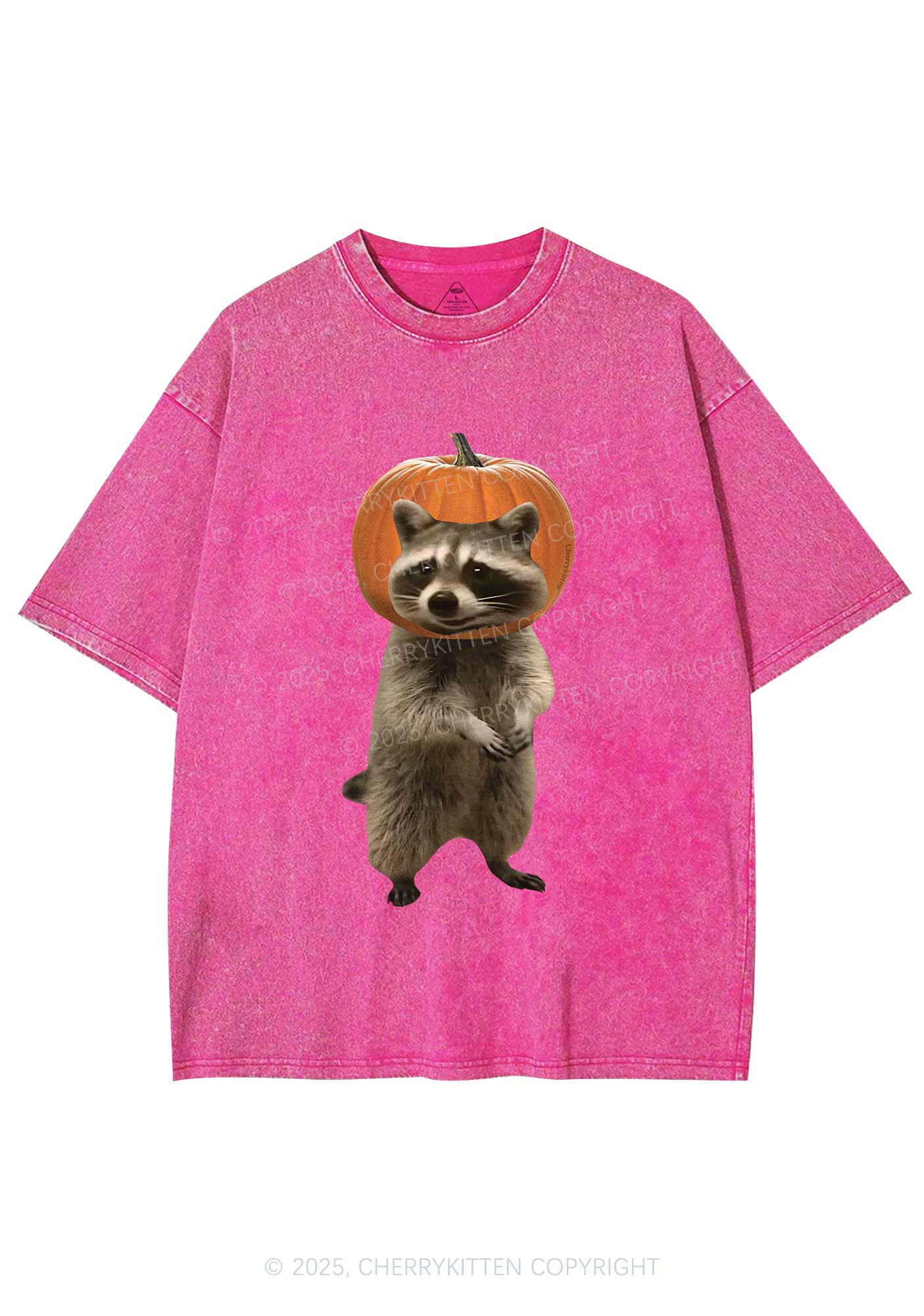 Halloween Silly Raccoon Y2K Shirts Washed Tee Cherrykitten