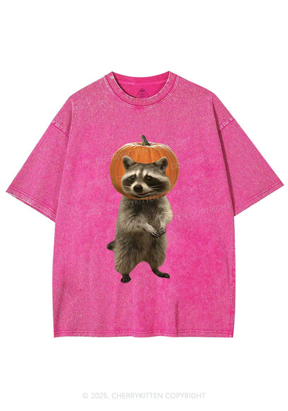 Halloween Silly Raccoon Y2K Shirts Washed Tee Cherrykitten