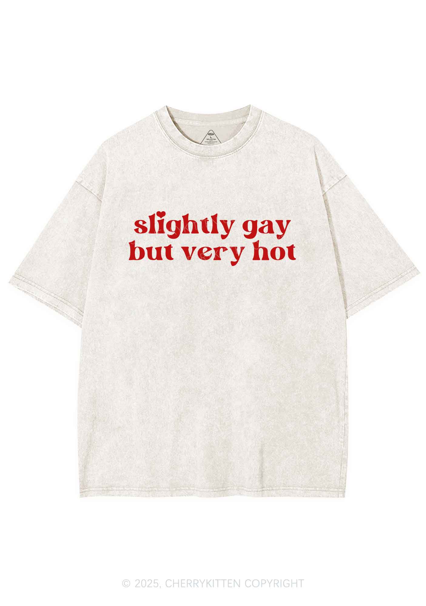 Slightly Gay But Very Hot Pride Y2K Shirts Washed Tee Cherrykitten