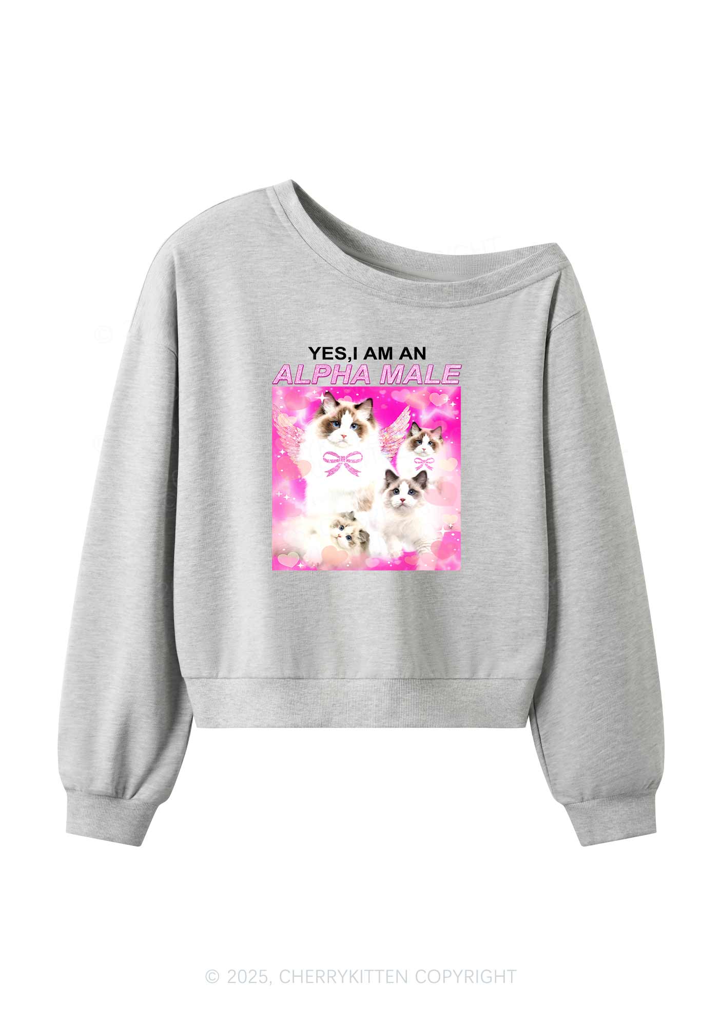 Alpha Male Y2K Off Shoulder Sweatshirts Cherrykitten