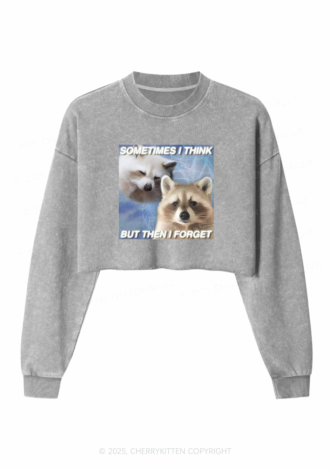Raccoon Sometimes Think Y2K Crop Washed Sweatshirts Cherrykitten