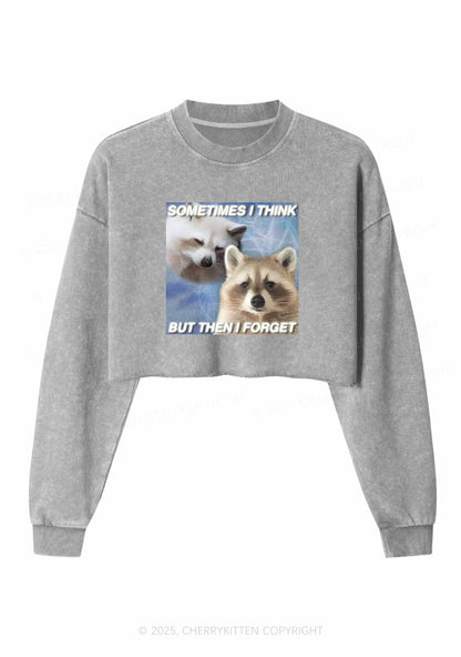 Raccoon Sometimes Think Y2K Crop Washed Sweatshirts Cherrykitten
