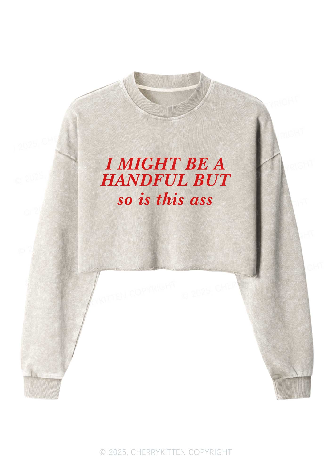 I Might Be Handful Y2K Crop Washed Sweatshirts Cherrykitten