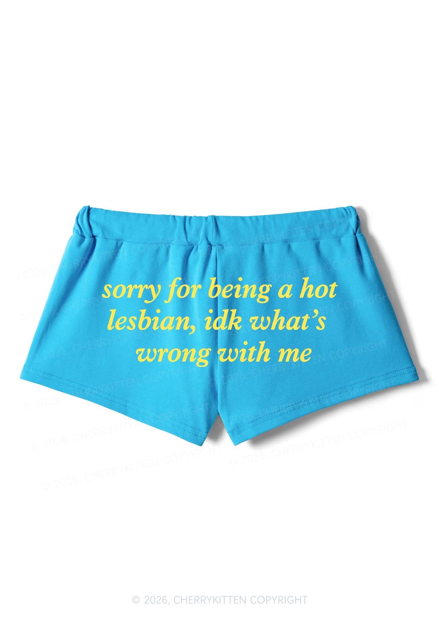 Sorry For Being Hot Lesbian Pride Y2K Drawstring Mini Shorts Cherrykitten