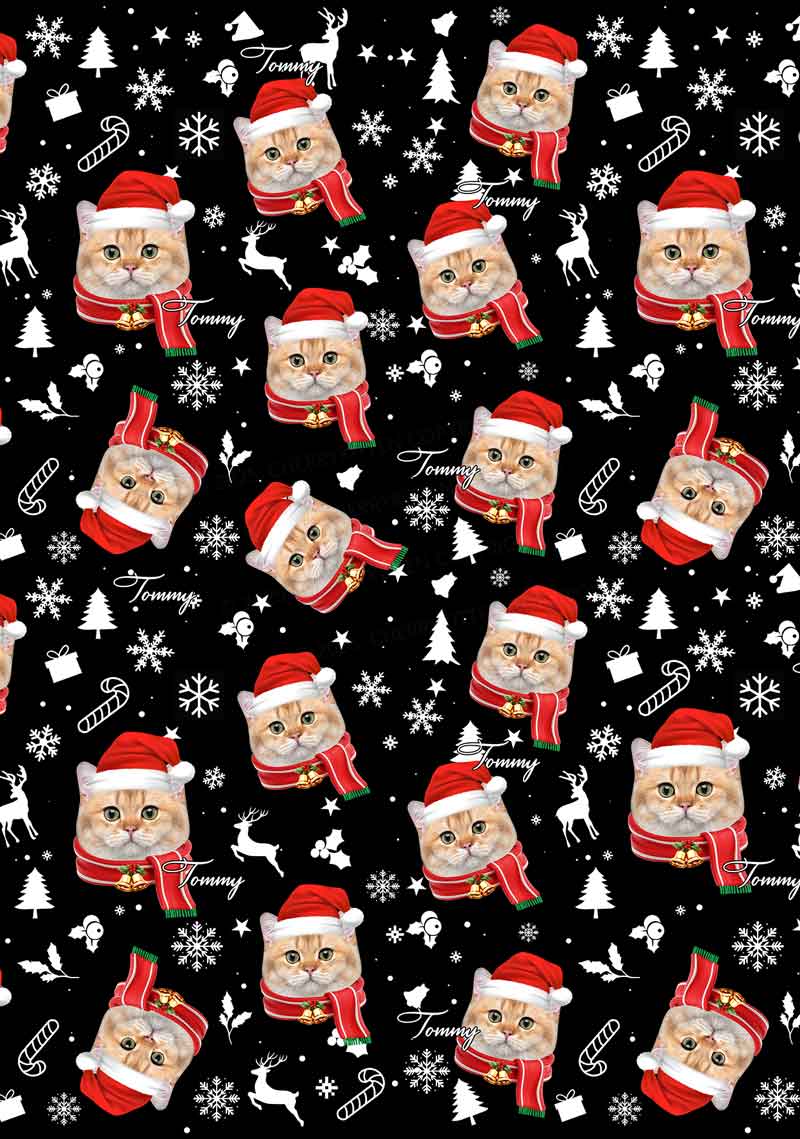 Custom Cat Face Y2K Print Long Sleeve Pajama Set Cherrykitten