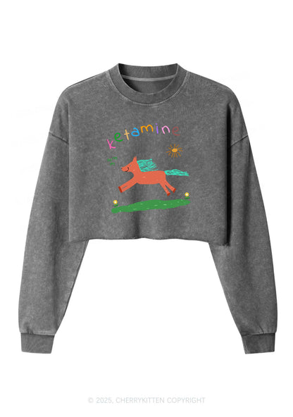 Orange Pony Y2K Crop Washed Sweatshirts Cherrykitten