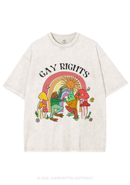 Gay Rights Pride Y2K Shirts Washed Tee Cherrykitten