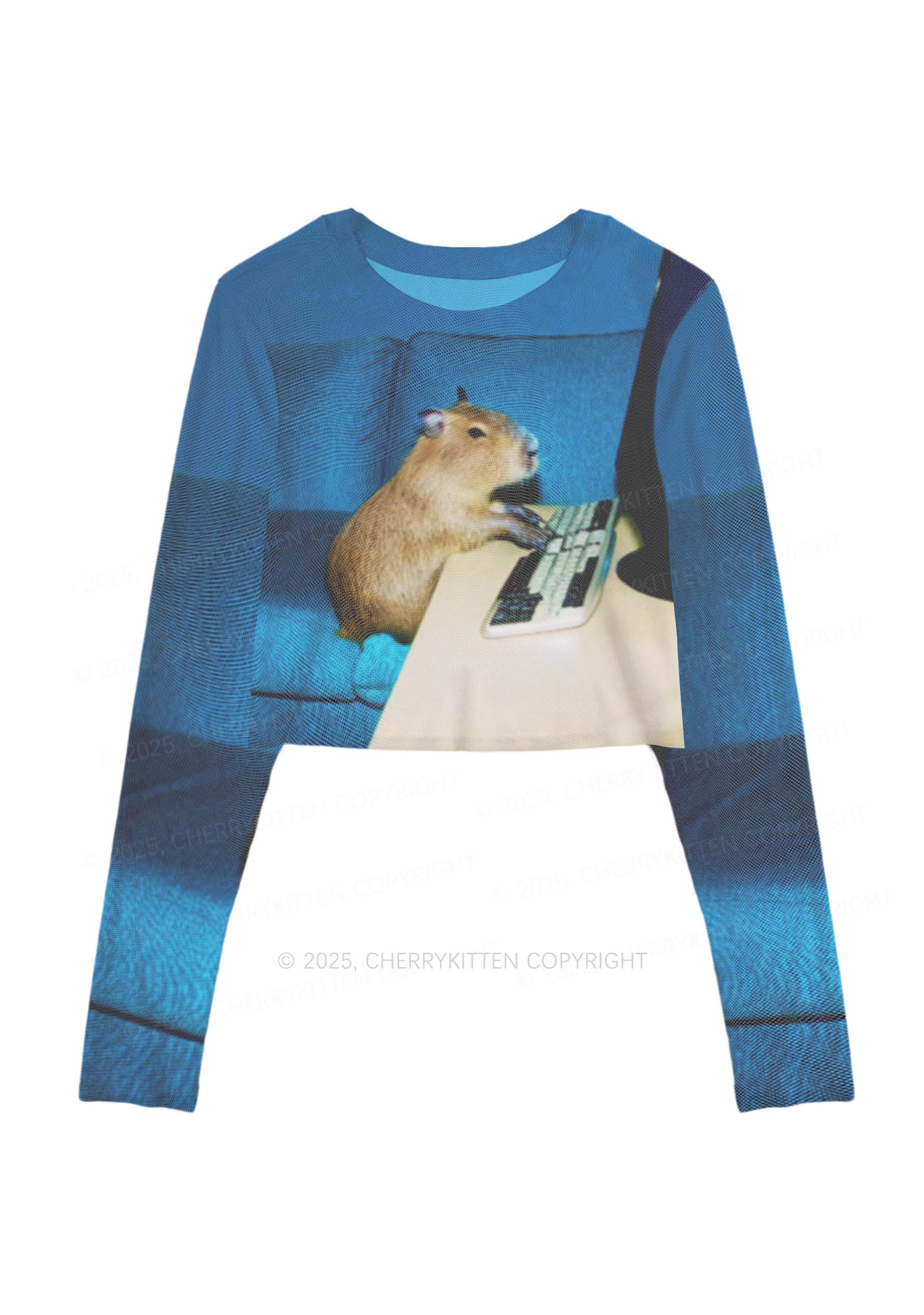 Keyboard Capybara Y2K Mesh Long Sleeve Crop Top Cherrykitten