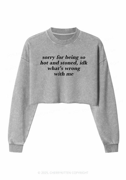 Sorry For Being Hot And Stoned Y2K Crop Washed Sweatshirts Cherrykitten