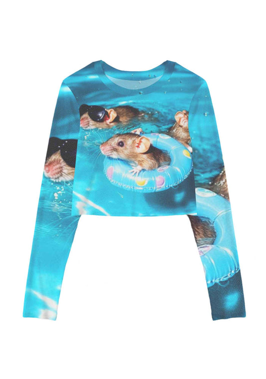 Pool Rats Y2K Mesh Long Sleeve Crop Top Cherrykitten