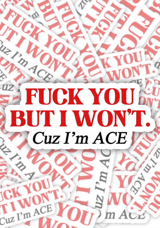 Fxxk You Cuz Im Ace Pride 1pc Y2K Sticker Cherrykitten